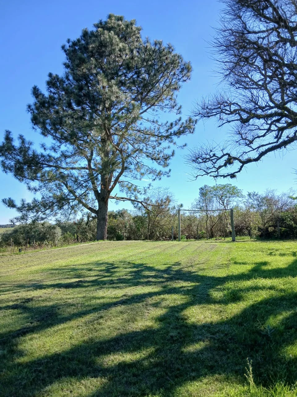Gramado sob a sombra de uma árvore