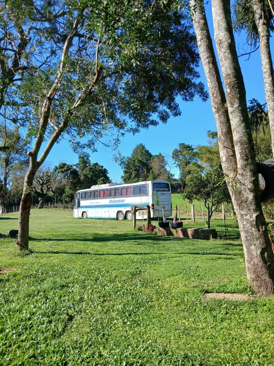 Ônibus da Da Luz Tur entre as árvores