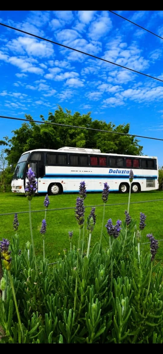 Ônibus da Da Luz Tur no jardim