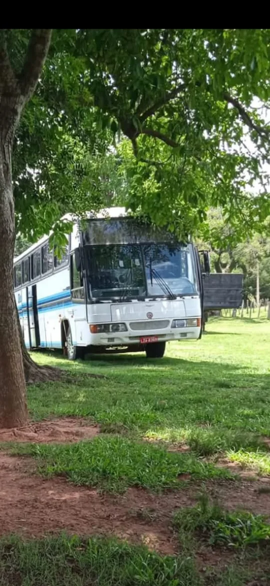 Ônibus da Da Luz Tur sob as árvores